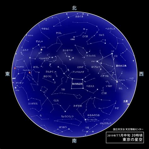 11月28號星座|11月28日出生的星座